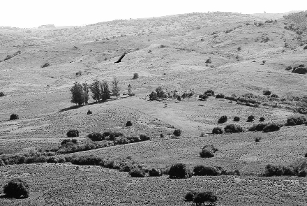 Los campos de Juan Antonio Presa hoy al igual que hace 200 años