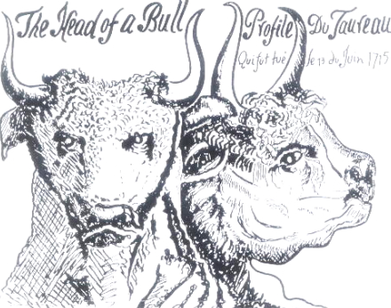 “La cabeza de un toro” del viajero William Toller