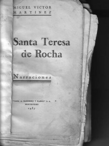 Obra de Martínez donde se cuentan las peripecias de Arredondo y la reconstrucción de Santa Teresa y San Miguel