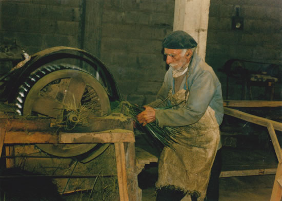 Fábrica de crin vegetal de Patricio Navarro  y luego de Silvestre Decuadro