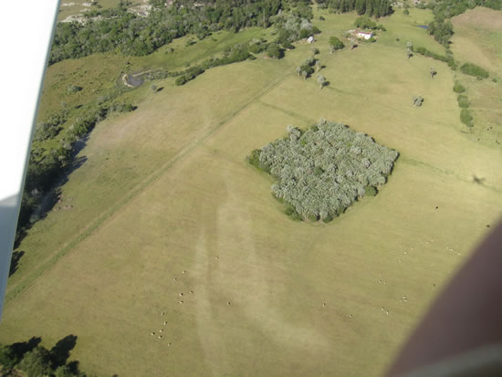 Palmar de Tiburcio Rocha